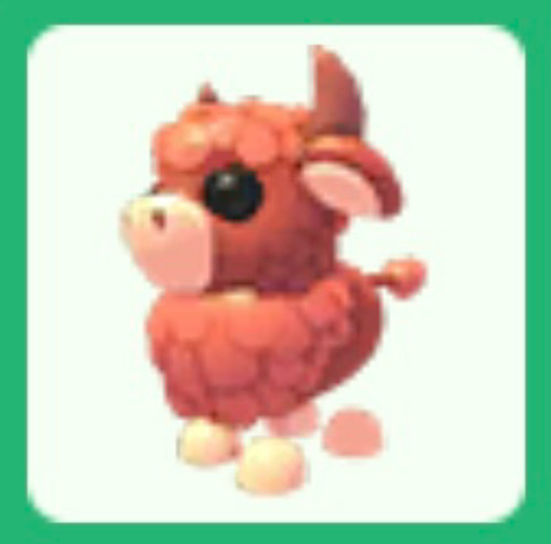 Pets hot angus bull - pets,