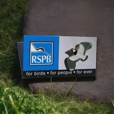 RSPB-2000/2001  Early LAPWING