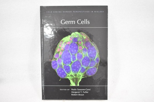 Germ cells paolo - by,