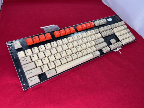 Acorn archimedes - acorn,