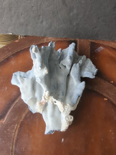 Natural blue ridge - blue, coral