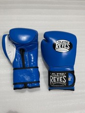 Cleto Reyes 14oz Boxing Gloves