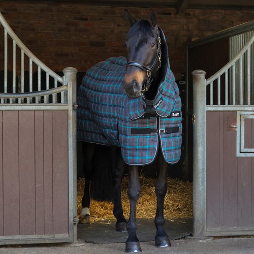 Snugmasta 250g mediumweight - 250g,