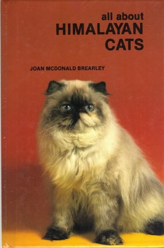All about himalayan - about, cats