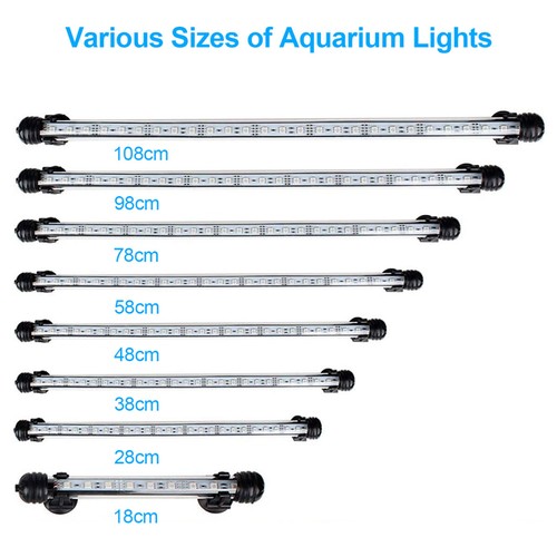 Aquarium fish tank pond - aquarium,