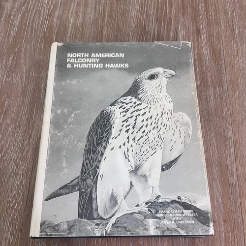 North american falconry - north, &