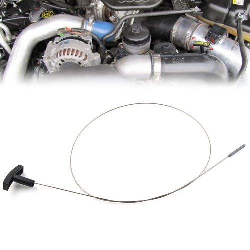 Engine oil dipstick - 6.0l,