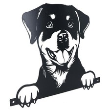 Black Metal Peeking Rottweiler