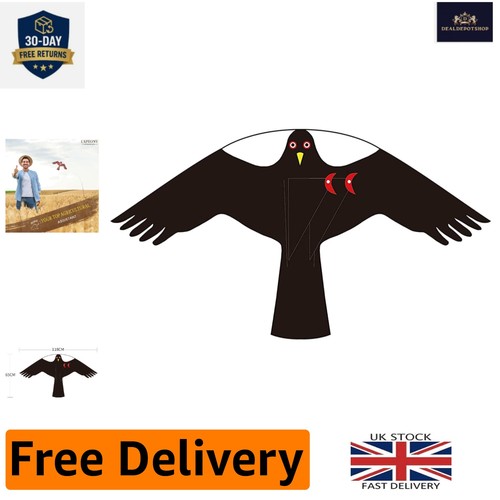Lightweight eagle flying - eagle, kite