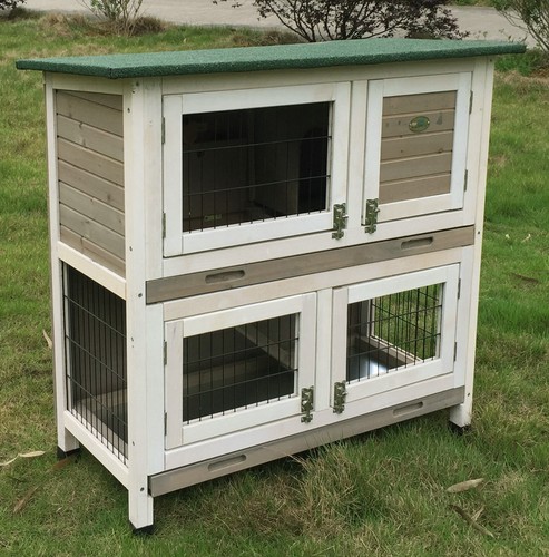 Roger rabbit hutch guinea pig - hutch,