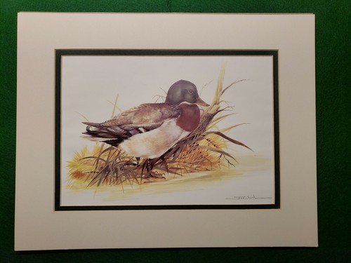 Duck print joel kirk - by,
