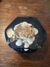 Vintage Lucite Crab Shells  Seashore Paperweight. Seaside. Rock pool.