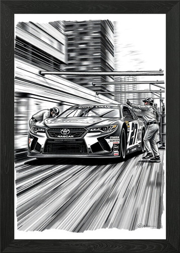 Nascar stock car pit - stock, framed