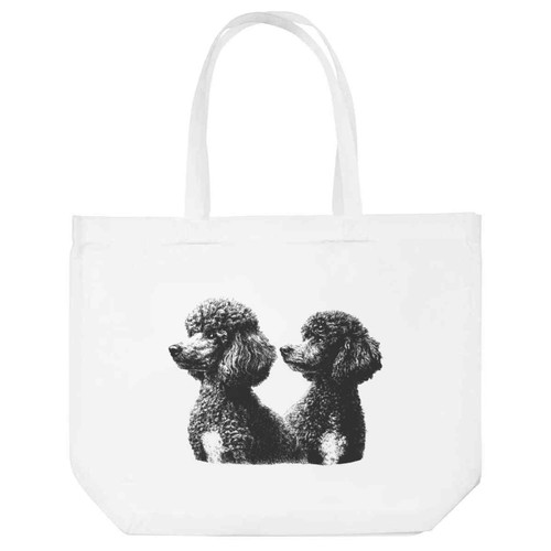 Two french poodle dogs - french, dogs'