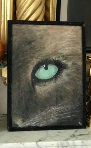 Mid century oil painting cats - oil,