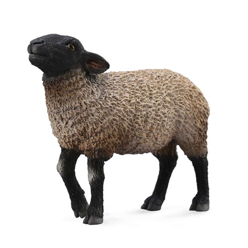 Collecta suffolk - collecta,