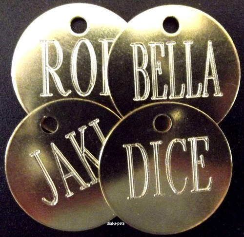 Engraved cat id - 10),