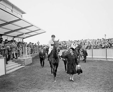 Cheltenham Gold Cup winner