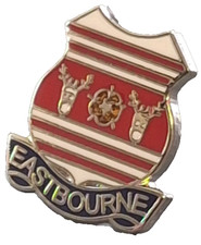 Eastbourne Town Small Pin