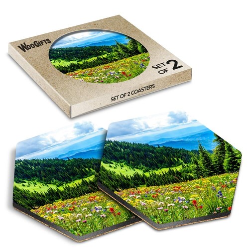 Hexagon mdf coaster alpine - hexagon,