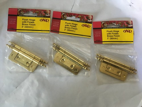 Caravan motorhome flush hinge - motorhome,