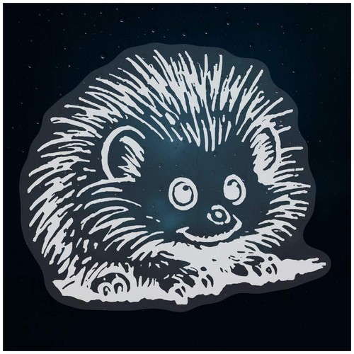 African pygmy hedgehog - 'african, hedgehog'