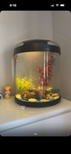 Fish Tank