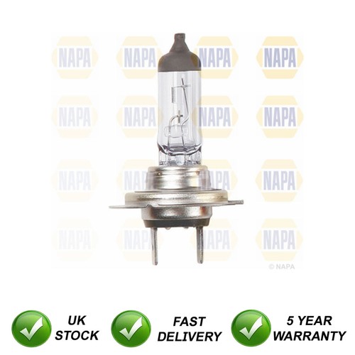 Headlight bulb front sjr - sjr, fits