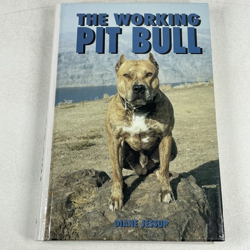 The working pit - working,