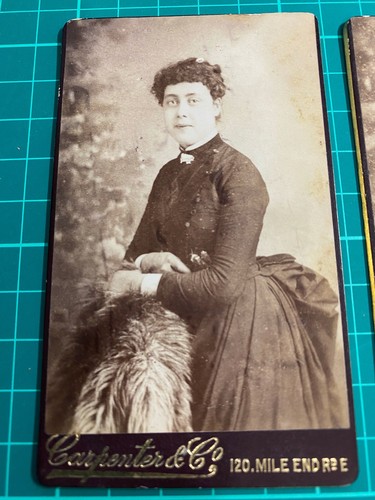 Victorian woman carpenter co - &,