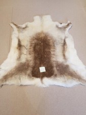 Reindeer Skin Rug Premium XL