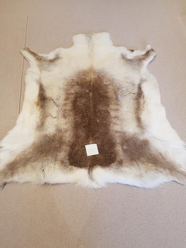 Reindeer skin rug premium - skin, xl