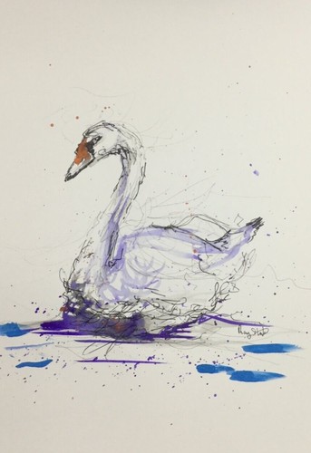 Original swan ink - original, sketch