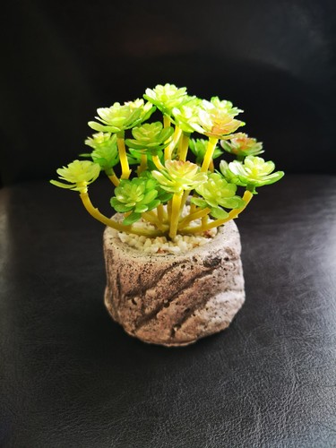 Artificial succulent carved - artificial,