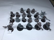 Neophyte Hybrids (x20) #2 -