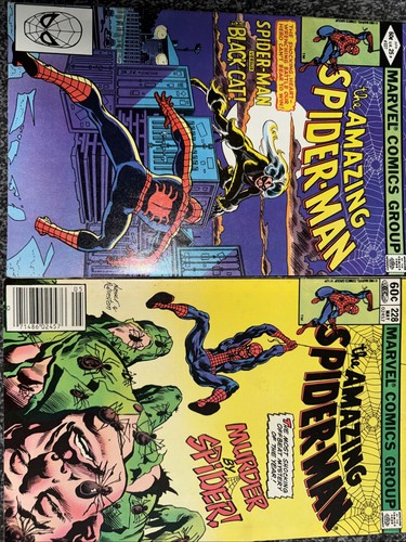 The amazing spiderman - the,