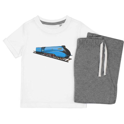 Mallard steam train kids - 'mallard,