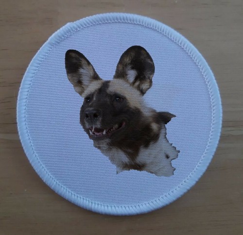 African wild dog - badge, patches