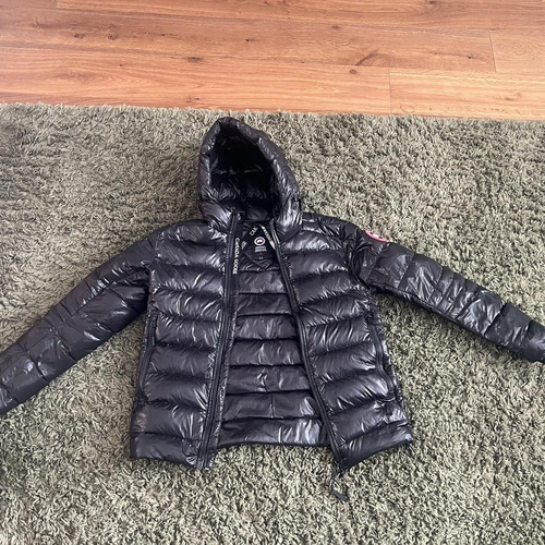 Canada goose hybridge - goose, lite