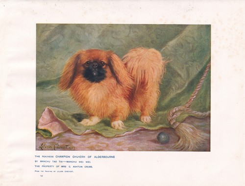 Pekingese dog antique art - dog,