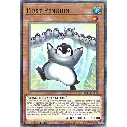 Bpro en030 first penguin - bpro-en030,