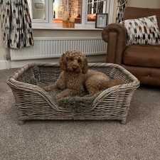 Medium wicker dog bed Grey