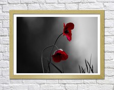 FLORAL POPPY -DEEP FRAMED