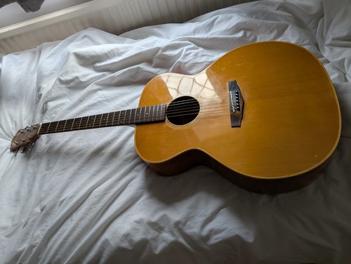 Ibanez pro special series - ibanez,