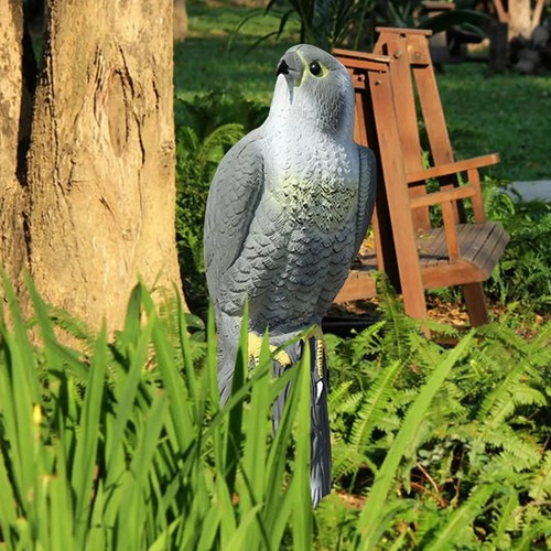 Eagle statue decorative - statue,