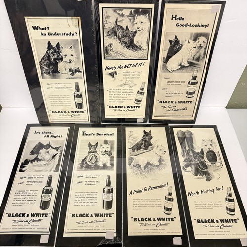 Black white scotch whiskey - black, &
