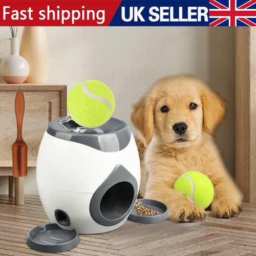 Dog pet interactive toy - 2,