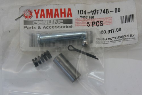 Rear step pillion mounting - rear,