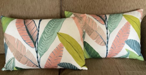Scion banana leaves - scion,