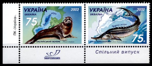 Caspian seal black sea - black,